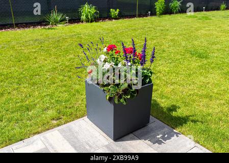 Verschiedene Blumen stehen auf der Terrasse in einem großen Topf auf Rädern, Rasen im Hintergrund. Stockfoto