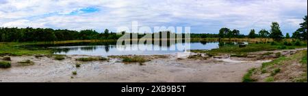 Panoramablick auf einen See, umgeben von grünen Bäumen in Kalmthoutse Heide, Belgien Stockfoto