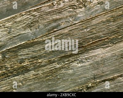 Textur des alten Baumes im Hintergrund Stockfoto