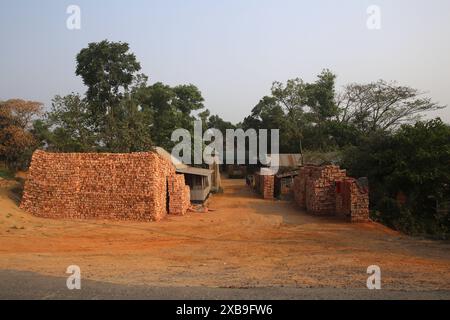 Bodenschlammziegel auf einem offenen Feld werden in der Sonne trocknen lassen, bevor sie in traditionellen Öfen in Bangladesch verbrannt werden Stockfoto