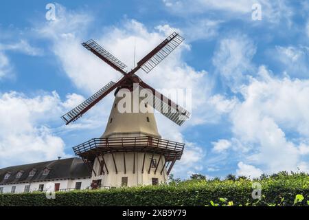 Dybbol Windmühle, Dybbol Molle, Sonderborg, Dänemark Stockfoto