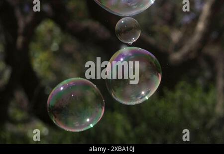 Der menschliche Geist und die Psyche sind immer da, der menschliche Verstand und die Psyche Stockfoto