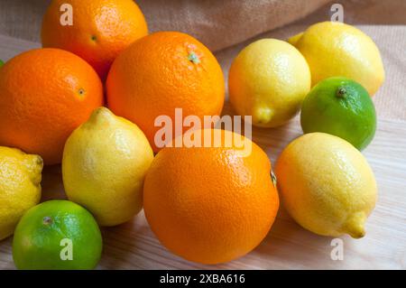 Verschiedene Zitrusfrüchte. Still-Leben. Stockfoto