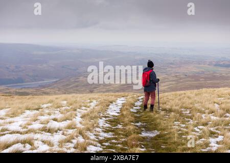 Eine Frau, die vom Selside Pike im Lake District National Park, Cumbria, England, den Blick über Mardale Common und das Haweswater Reservoir genießt. Stockfoto