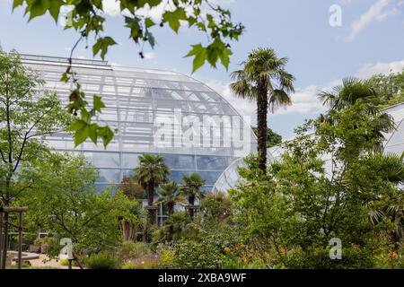 11. Juni 2024, Nordrhein-Westfalen, Köln: Blick auf die fast fertig gestellten Ausstellungsgewächshäuser im Botanischen Garten bei Flora. Foto: Rolf Vennenbernd/dpa Stockfoto