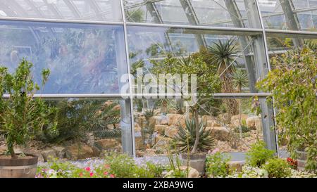 11. Juni 2024, Nordrhein-Westfalen, Köln: Blick auf die fast fertig gestellten Ausstellungsgewächshäuser im Botanischen Garten bei Flora. Foto: Rolf Vennenbernd/dpa Stockfoto