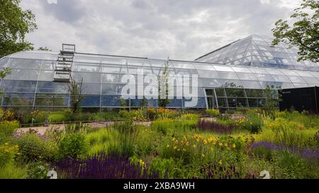 11. Juni 2024, Nordrhein-Westfalen, Köln: Blick auf die fast fertig gestellten Ausstellungsgewächshäuser im Botanischen Garten bei Flora. Foto: Rolf Vennenbernd/dpa Stockfoto