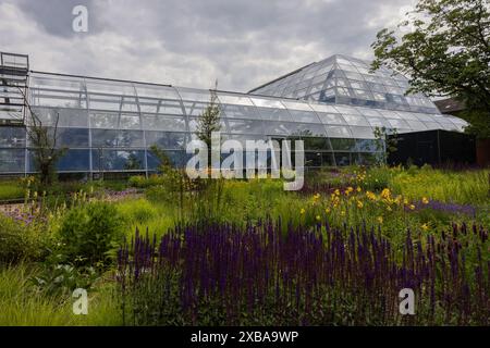 11. Juni 2024, Nordrhein-Westfalen, Köln: Blick auf die fast fertig gestellten Schaugewächshäuser im Botanischen Garten bei Flora. Foto: Rolf Vennenbernd/dpa Stockfoto