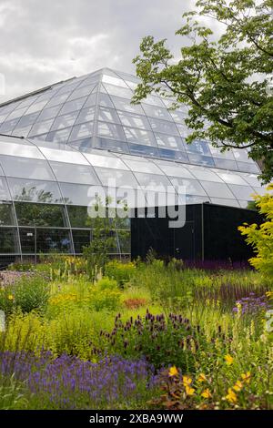 11. Juni 2024, Nordrhein-Westfalen, Köln: Blick auf die fast fertig gestellten Ausstellungsgewächshäuser im Botanischen Garten bei Flora. Foto: Rolf Vennenbernd/dpa Stockfoto