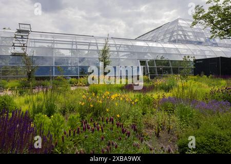 11. Juni 2024, Nordrhein-Westfalen, Köln: Blick auf die fast fertig gestellten Ausstellungsgewächshäuser im Botanischen Garten bei Flora. Foto: Rolf Vennenbernd/dpa Stockfoto