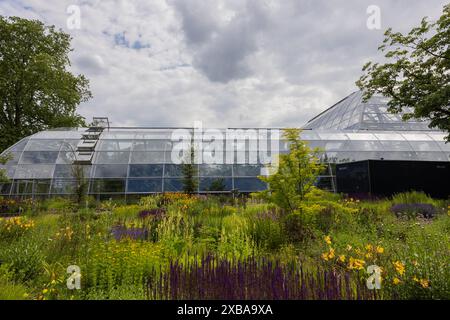 11. Juni 2024, Nordrhein-Westfalen, Köln: Blick auf die fast fertig gestellten Ausstellungsgewächshäuser im Botanischen Garten bei Flora. Foto: Rolf Vennenbernd/dpa Stockfoto