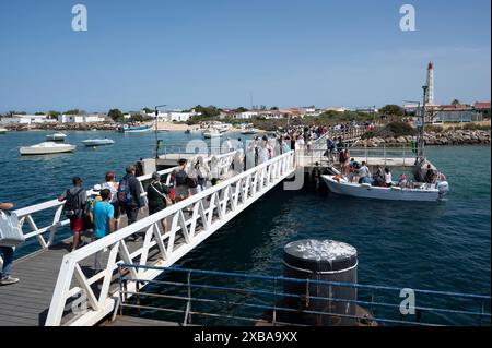 Portugal, Olhao, Algarve Mai 2024 Stockfoto