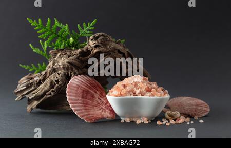 Rosafarbenes himalaya-Salz mit Schlangen, grünen Thuja-Zweigen und Muscheln. Himalaya-Salz in weißer Schüssel auf schwarzem Hintergrund. Kopierbereich. Stockfoto