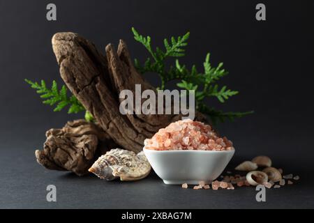 Rosafarbenes himalaya-Salz mit Schlangen, grünen Thuja-Zweigen und Muscheln. Himalaya-Salz in weißer Schüssel auf schwarzem Hintergrund. Kopierbereich. Stockfoto