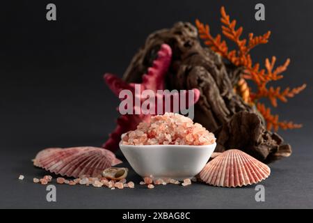 Rosafarbenes himalaya-Salz mit Schlingen, Thuja-Zweigen und Muscheln. Himalaya-Salz in weißer Schüssel auf schwarzem Hintergrund. Kopierbereich. Stockfoto