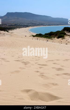 Blick auf Bolonia von einer der größten sich bewegenden Sanddünen Europas, Andalusien, Spanien Stockfoto