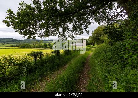 St. Thomas a Beckett Church, Wolvesnewton, Monmouthshire, Wales. UK Stockfoto