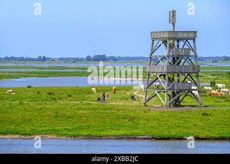 Aussichtsturm am Plan Tureluur, Naturschutzgebiet bei Kerkwerwe auf der Insel Schouwen-Duiveland, Zeeland, Niederlande Stockfoto