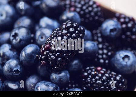 Frische Brombeeren und Heidelbeeren in einem Karton Stockfoto