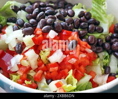 Frische Salatzutaten aus schwarzen Bohnen und gewürfelten roten Paprika und Zwiebeln auf einem Bett aus gehacktem Römersalat Stockfoto