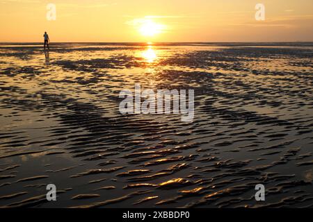 Eine junge Frau läuft bei Ebbe über das Wattenmeer, Holland Stockfoto
