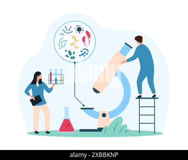 Infektionskeime, Mikroorganismus- und Bakterienforschung, Mikrobiologie. Winzige Menschen studieren Darmmikrobiom mit Mikroskop, Mikrobe, Bazillus und Bakterium in Rundlinsen-Cartoon-Vektor-Illustration Stock Vektor