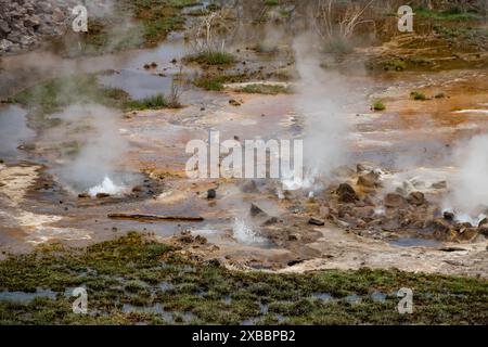 Alolabad Geothermalgebiet in Äthiopien mit surrealer Landschaft mit bunten heißen Quellen, dampfenden Fumarolen und ausbrechenden Salzgeysiren in einem trockenen Afar Stockfoto