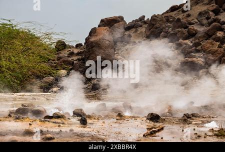 Alolabad Geothermalgebiet in Äthiopien mit surrealer Landschaft mit bunten heißen Quellen, dampfenden Fumarolen und ausbrechenden Salzgeysiren in einem trockenen Afar Stockfoto