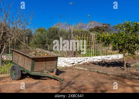 Alte, quadratische Holzkarre gefüllt mit Bio-Pflanzenabfällen in einer rustikalen Farm-Umgebung. Stockfoto