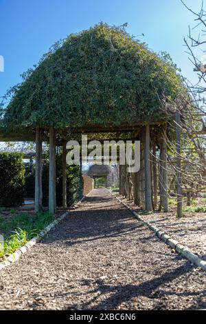 Bewachsene kuppelförmige Pflanze mit einer Holzpergola, die durch einen Fußweg zu einer anderen in der Ferne führt. Stockfoto