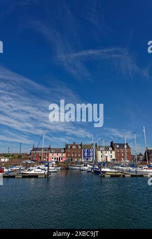 Die hell bemalten Gebäude des Arbroath Harbour mit Blick auf den Yachthafen und den inneren Hafen mit den Pontons voller Yachten und Motorboote. Stockfoto