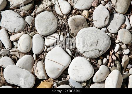 Steine und Kieselsteine in verschiedenen Größen und weiß- und Grautönen auf dem Boden verstreut, Hintergrundbild Stockfoto