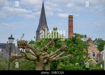 Ruhige Dorfszene mit einem hohen Kirchturm, einem alten Kamin und grünen Bäumen bei sonnigem Wetter, Bredevoort, Gelderlande, niederlande Stockfoto