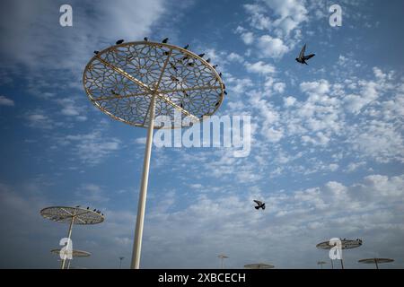 Eiserne Kreise für Tauben, die am Mount Arafat (oder Jabal Rahmah) in Saudi-Arabien sitzen. Der erste Ort, an dem sich Prophet Adam und Eva auf der Erde trafen. Stockfoto