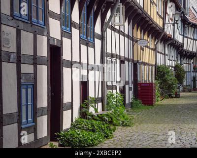 Kopfsteinpflasterstraße mit traditionellen Fachwerkhäusern und grünen Pflanzen vor den Türen, Detmold, Nordrhein-Westfalen, Deutschland Stockfoto