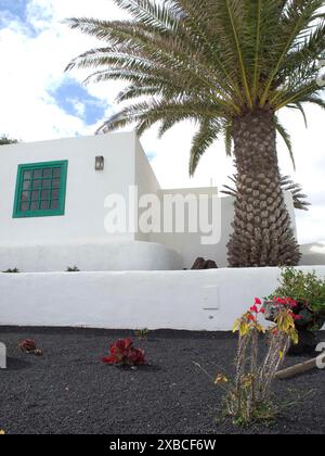 Ein weißes Haus mit grünen Fenstern neben einer großen Palme und einem kleinen Garten, Arrrecife, Lanzaorte, kanarische Inseln, spanien Stockfoto