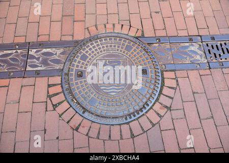 Geschmückte Mannlochabdeckung, Fischreliefs, Fußgängerzone, Eckernförde, Schleswig-Holstein, Deutschland Stockfoto