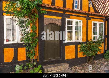 Faborg, Faaborg, malerische Altstadt mit bunten Häusern, Detail, Fachwerkhaus aus dem Jahr 1730, Pflanzen, Weinstöcke, Fünen, Insel Fünen, süden Stockfoto