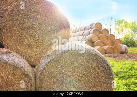 Viele Heuballen im Freien an sonnigen Tagen, Schließung Stockfoto