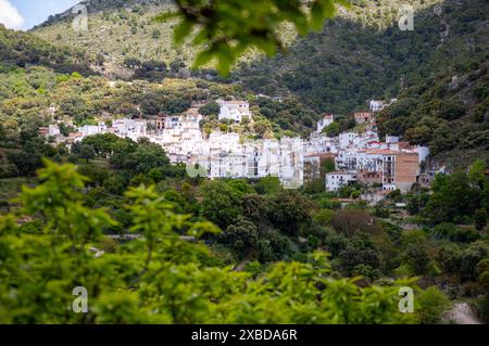 Wundervolle Landschaft des Genal-Tals im Nationalpark Sierra de las Nieves, Andalusien, Südspanien Stockfoto