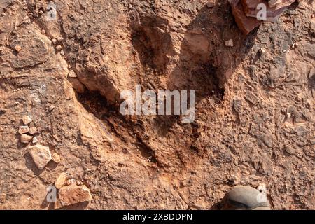 Großer Dinosaurier-Fußdruck-Track auf der Rock Cliff Surface oberhalb des US Highway 89 und Port of Entry in Kanab, Utah Stockfoto