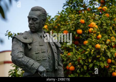 Sevilla, Spanien. 7. Februar 2024 - Nahaufnahme der Curro Romero Statue mit Orangenbäumen im Hintergrund Stockfoto