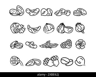 Set verschiedene Icon Nüsse und Samenfutter Bio natürliche gesunde Vitaminernährung vegetarische Hand Zeichnung Illustration Brustnüsse Stock Vektor