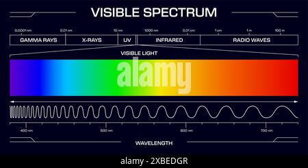 Sichtbares Spektrallicht, Vektordiagramm, das den Bereich der elektromagnetischen Wellenlängen von violett bis rot zeigt, umfasst Gammastrahlen, Röntgenstrahlen, uv-, Infrarot- und Radiowellen-Frequenzskala in Nanometern Stock Vektor