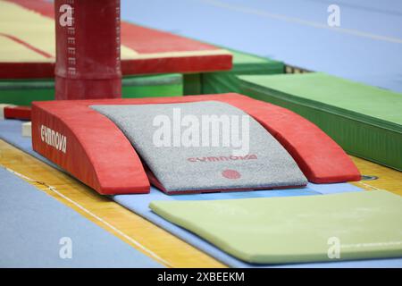 Tokio, Japan. Juni 2024. Allgemeine Ansicht künstlerische Turnen : japanische Frauen-Nationalmannschaft Trial Session für die Olympischen Spiele 2024 in Tokio, Japan . Quelle: Yohei Osada/AFLO SPORT/Alamy Live News Stockfoto