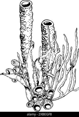 Zusammensetzung von Meeres-, Meeres- und Korallenriff-Unterwasserorganismen. Handgezeichnete Vektorillustration isoliert auf weiß. Grafische Schwarzweißskizze Stock Vektor