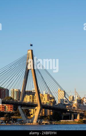 Die Anzac Bridge ist eine achtspurige Kabelbrücke bei Sunset, die in Richtung CBD gerichtet ist Stockfoto