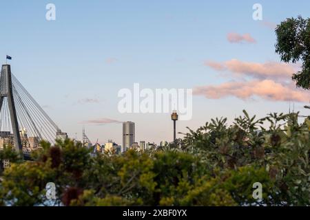 Die Anzac Bridge ist eine achtspurige Kabelbrücke bei Sunset, die in Richtung CBD gerichtet ist Stockfoto