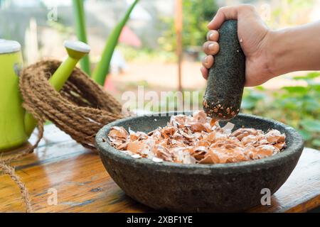 Mann zerquetscht Eierschalen mit Stößel und Mörtel an einem sonnigen Tag, und Garten als Hintergrund, Konzept der organischen Düngemittelgärtnerei Stockfoto