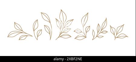 Setzen Sie monochrome einfache Blätter botanische Zweige mit Stamm- und Blattvektor-Illustration. Dekorative Blumenelemente Blüten umreißen Sommer-Sp Stock Vektor